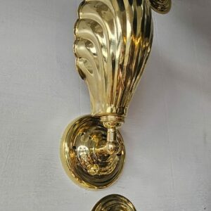 Brass Shell Wall Light on Knuckle